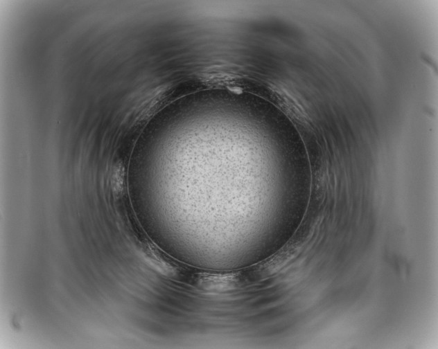 X0000098020081200804111308