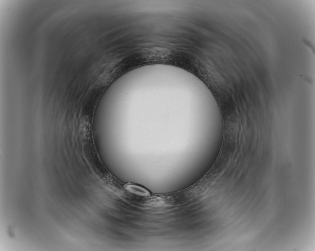 X0000098020083200804111308