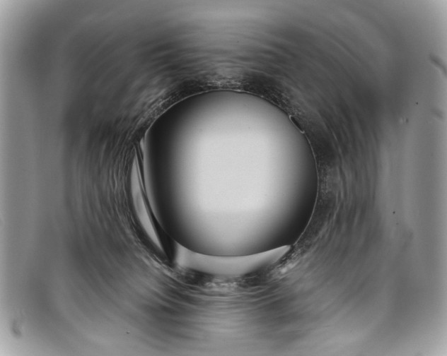 X0000098020084200804111308