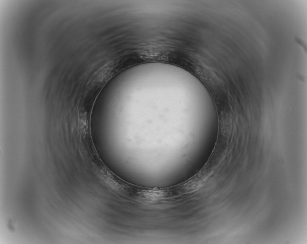 X0000098020085200804111309