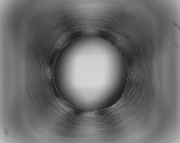 X0000098020086200804111309