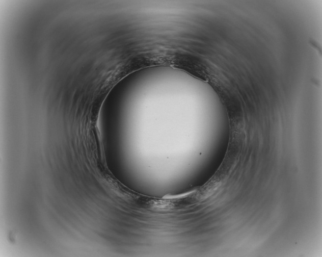 X0000098020088200804111309