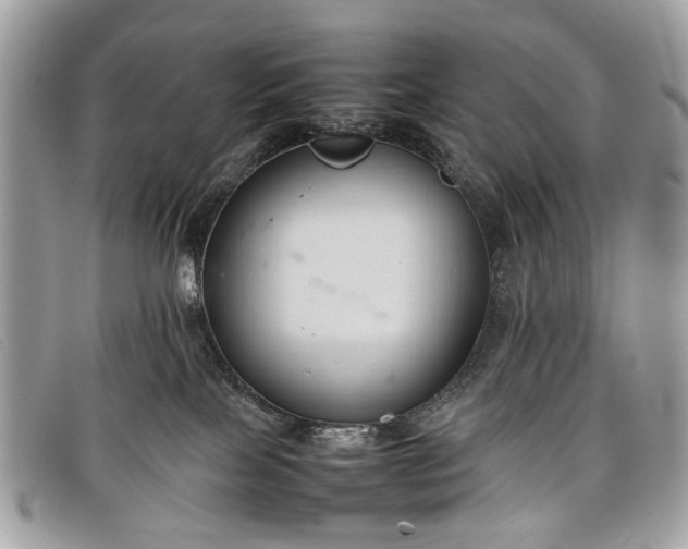 X0000098020089200804111309