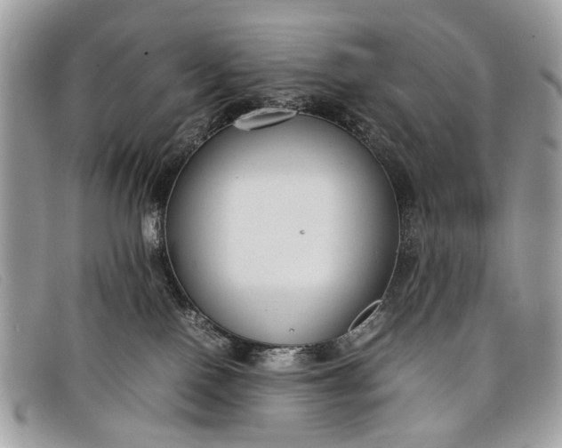 X0000098020090200804111309