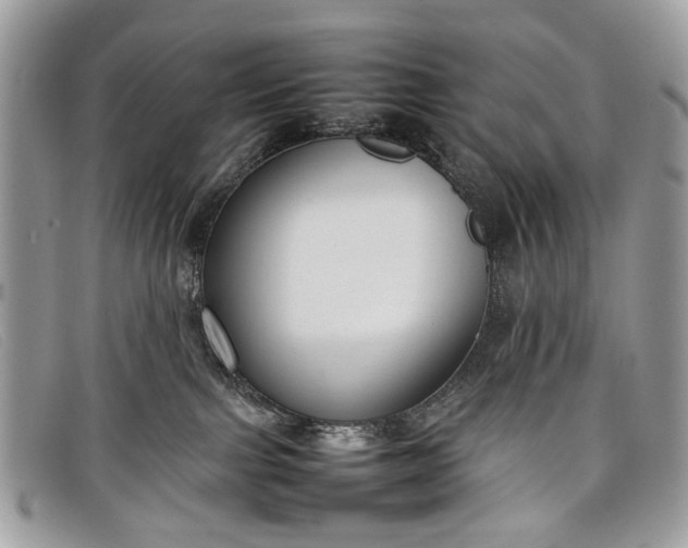 X0000098020091200804111309