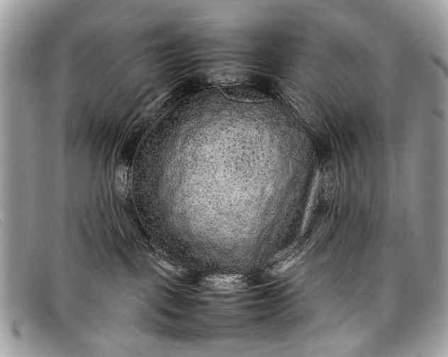 X0000098020093200804111309