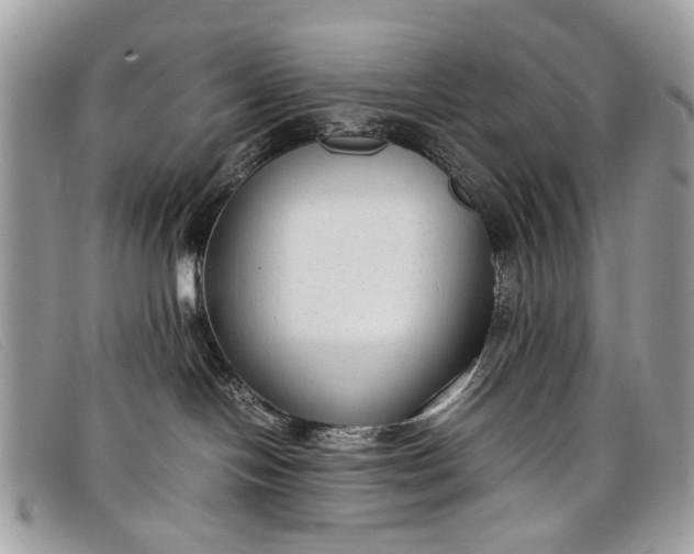 X0000098020094200804111309