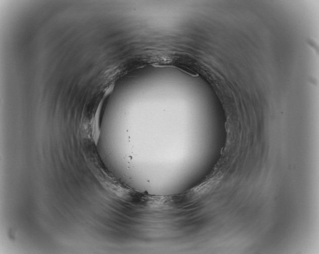 X0000098020096200804111309