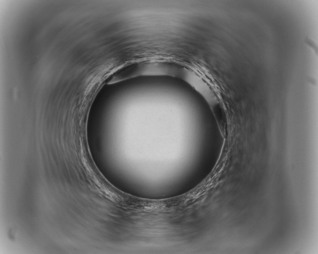 X0000098020097200804111308