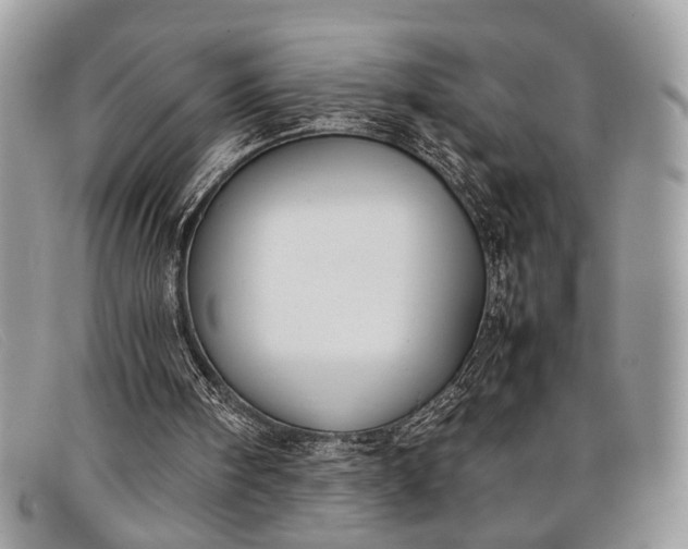 X0000098020098200804111308