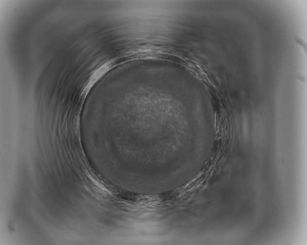 X0000098020099200804111308