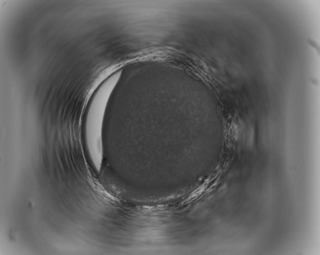 X0000098020100200804111308