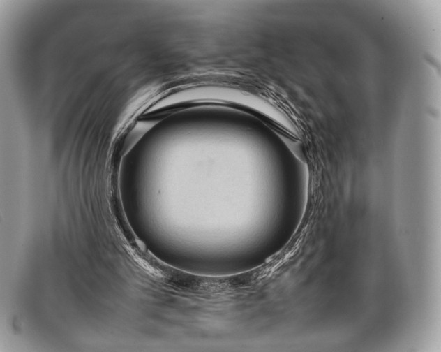 X0000098020101200804111308