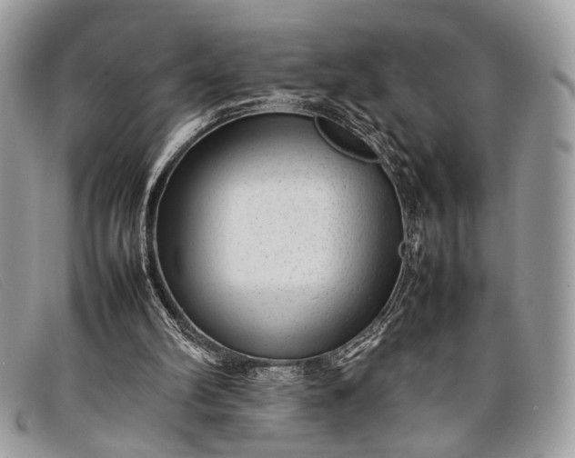 X0000098020102200804111308