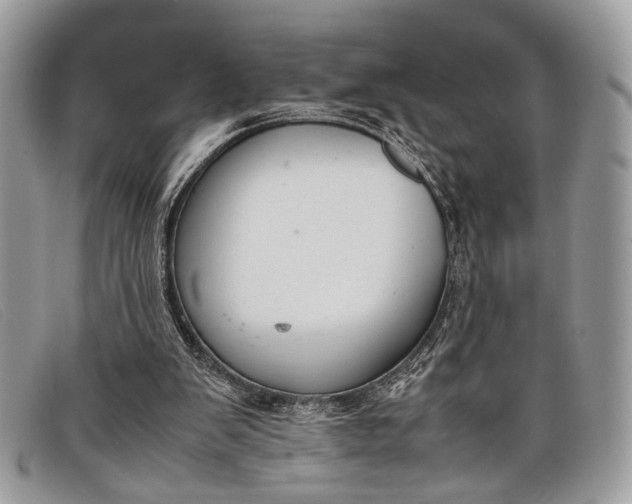 X0000098020103200804111308