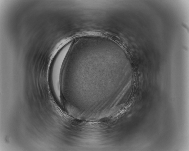 X0000098020104200804111308