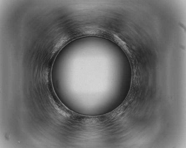 X0000098020106200804111308