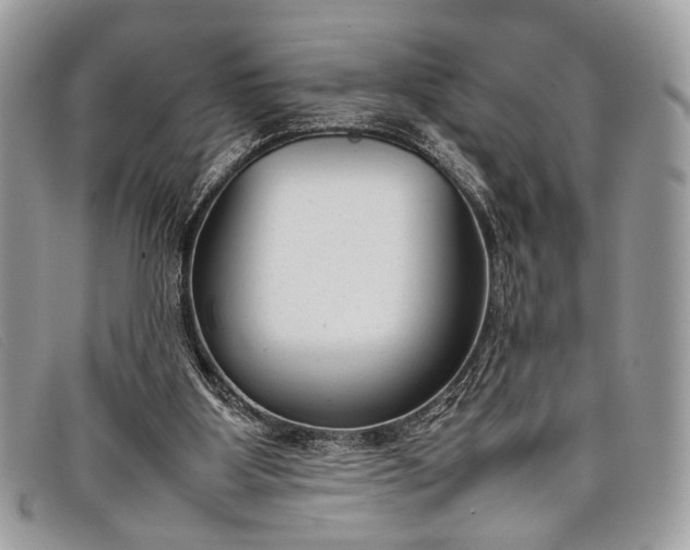 X0000098020107200804111308