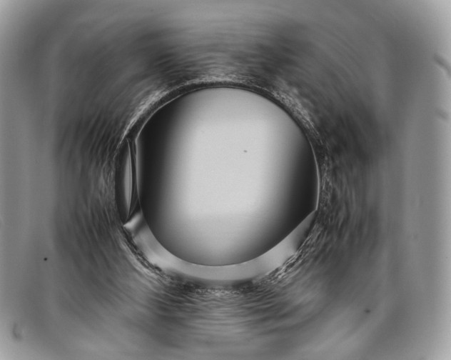 X0000098020108200804111308