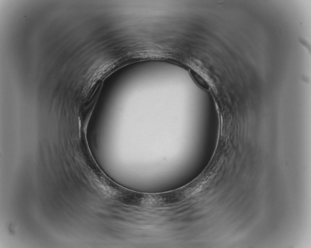 X0000098020109200804111308