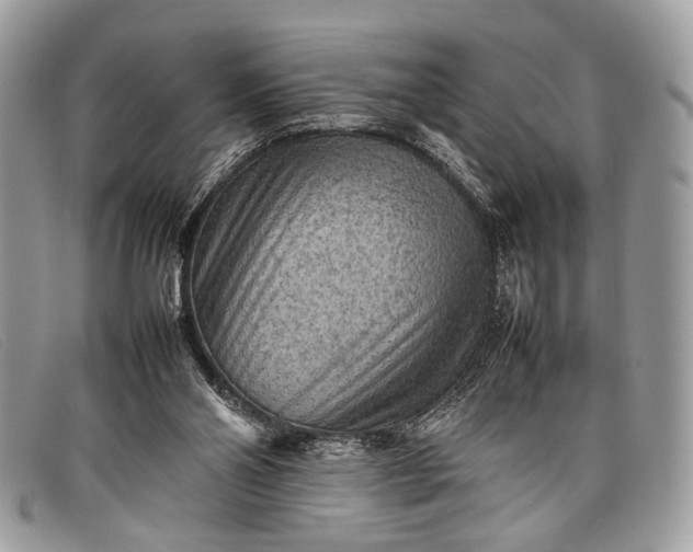 X0000098020110200804111308