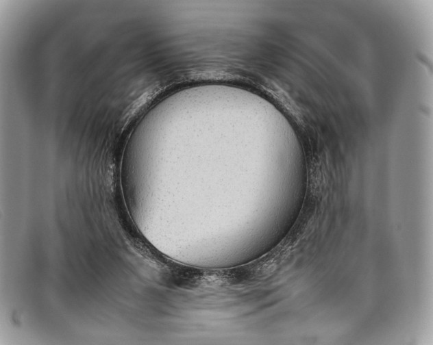 X0000098020111200804111308