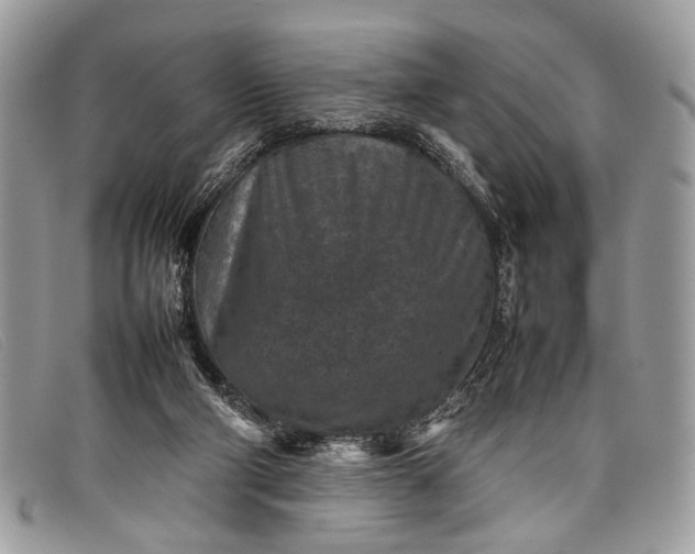 X0000098020114200804111308