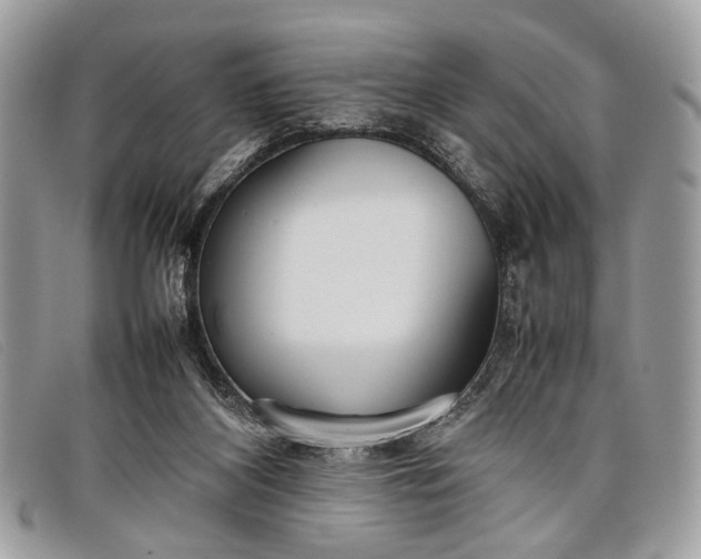 X0000098020116200804111308