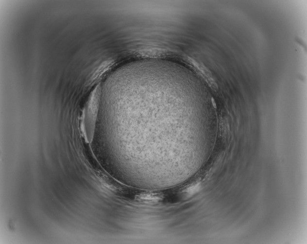 X0000098020117200804111308