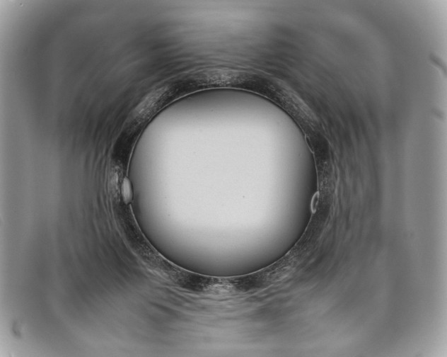 X0000098020119200804111308