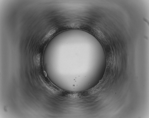 X0000098020120200804111307