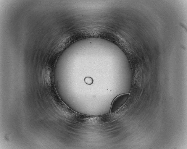 X0000098020122200804111307