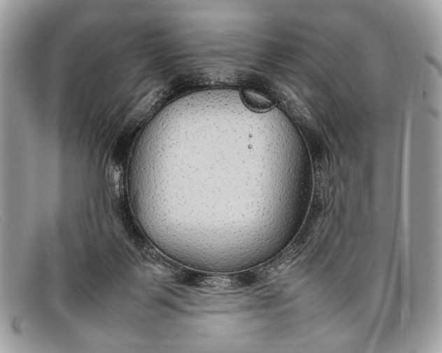 X0000098020123200804111307