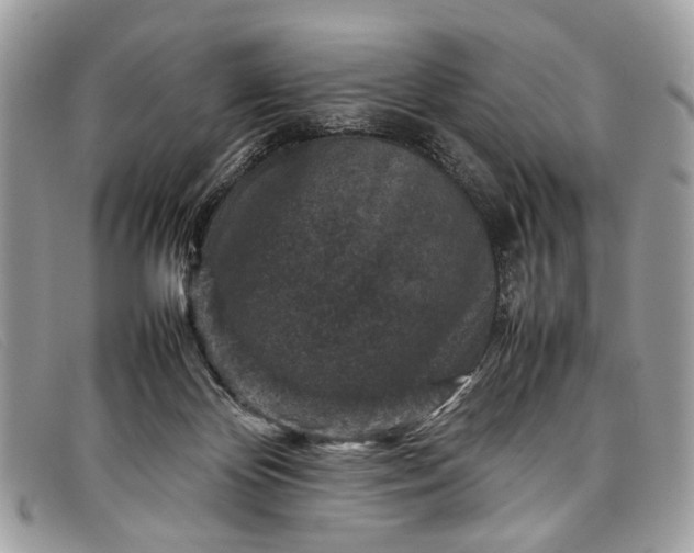 X0000098020124200804111307