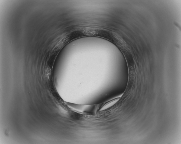 X0000098020125200804111307