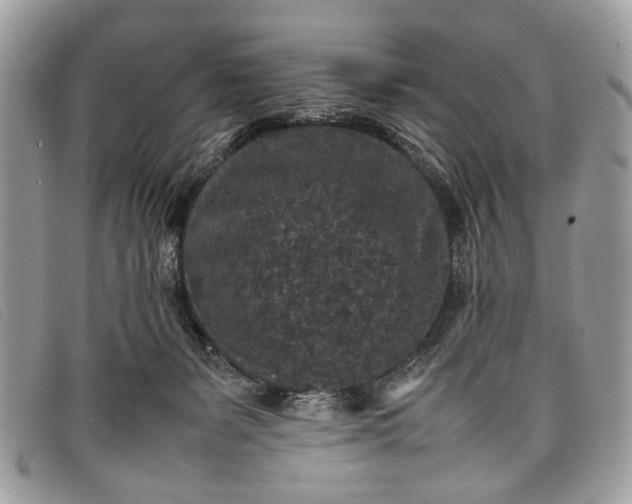 X0000098020127200804111307