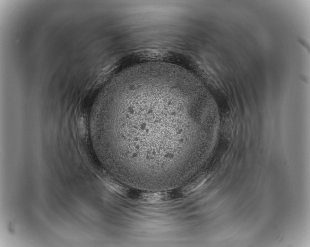 X0000098020131200804111307