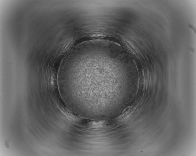 X0000098020134200804111307