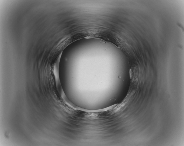 X0000098020140200804111307