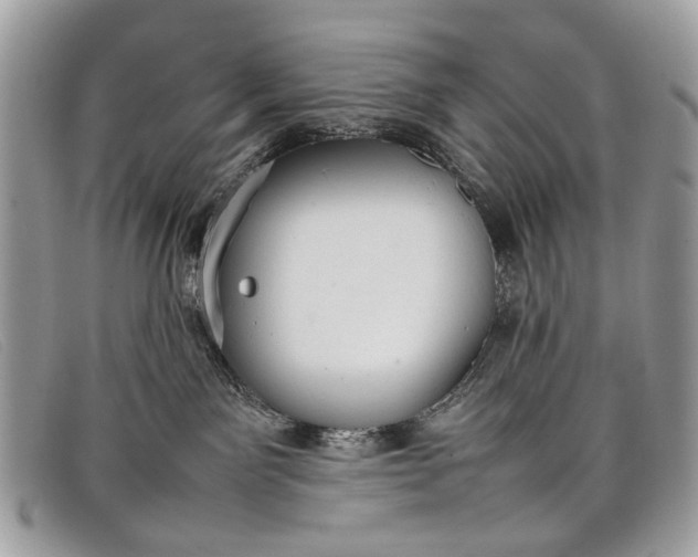 X0000098020141200804111307