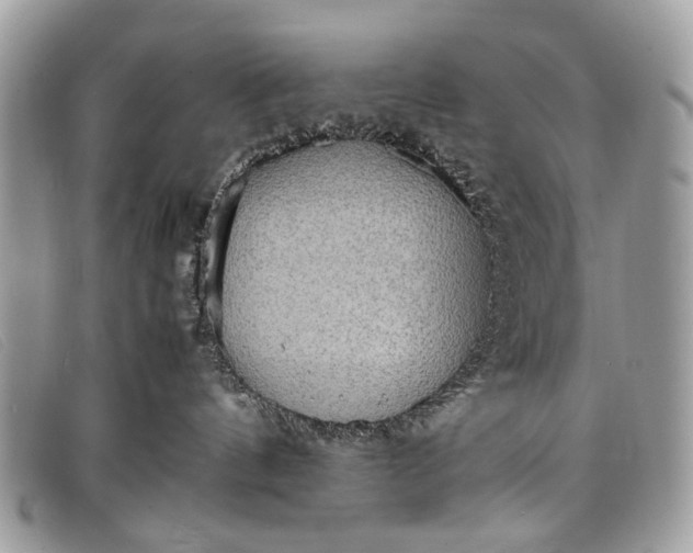 X0000098020144200804111307