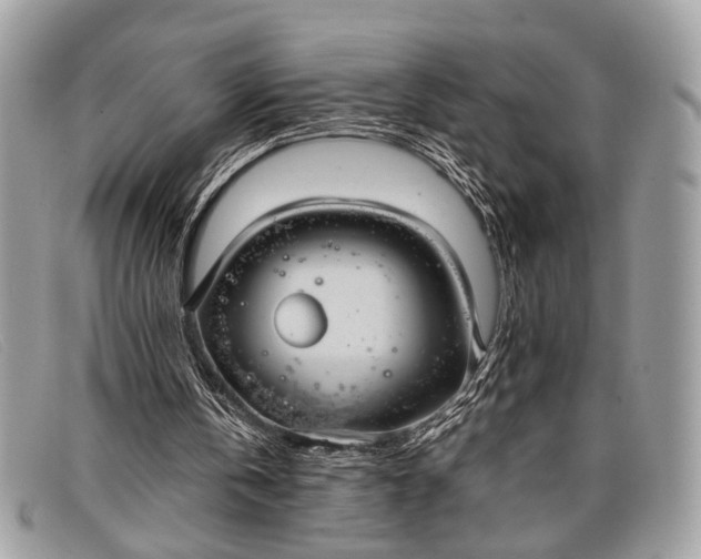 X0000098020146200804111306