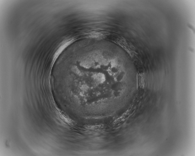 X0000098020147200804111306