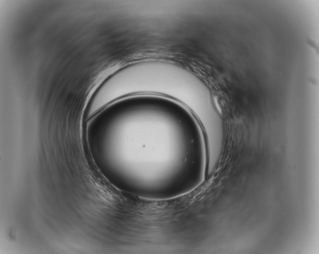 X0000098020148200804111306