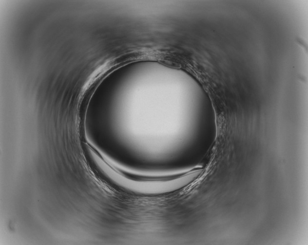 X0000098020150200804111306