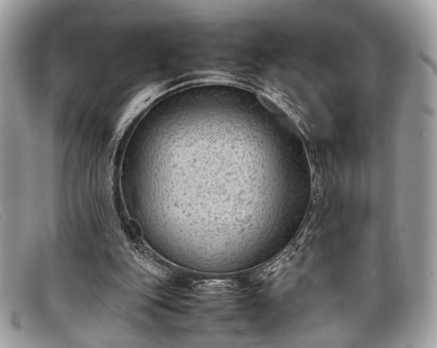 X0000098020151200804111306