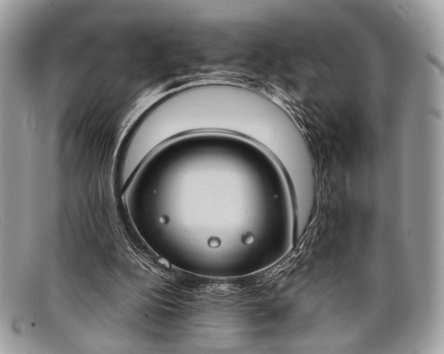 X0000098020152200804111306