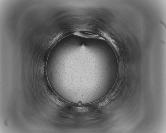 X0000098020153200804111306