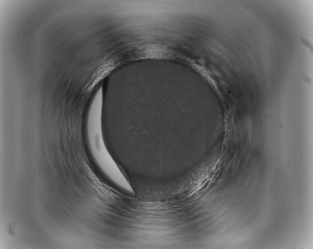 X0000098020154200804111306