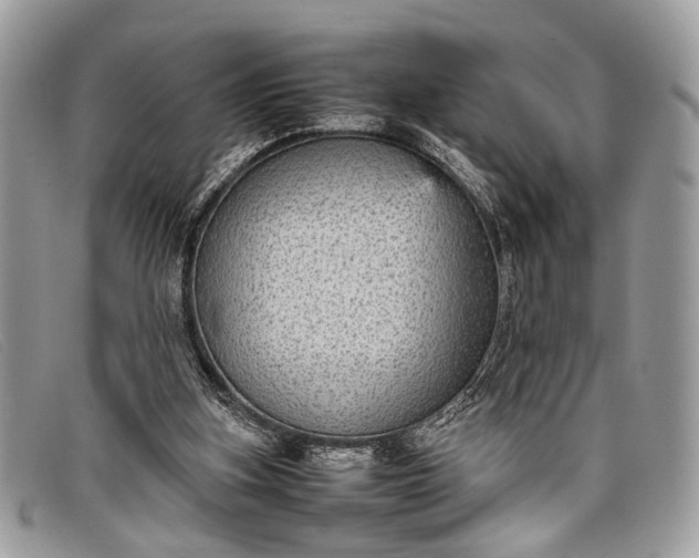 X0000098020155200804111306